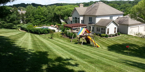 Clean Cut Lawn Care Reliable Quality, Clean Cut Landscaping And Maintenance Llc